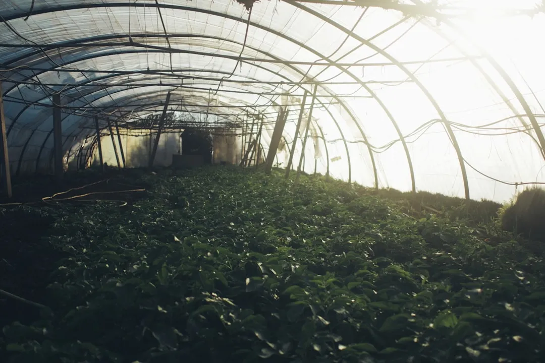 工业新材料在智能制造中的应用场景与性能解析